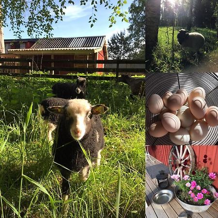Гостевой дом Lillemyrsgarden Forshaga Экстерьер фото
